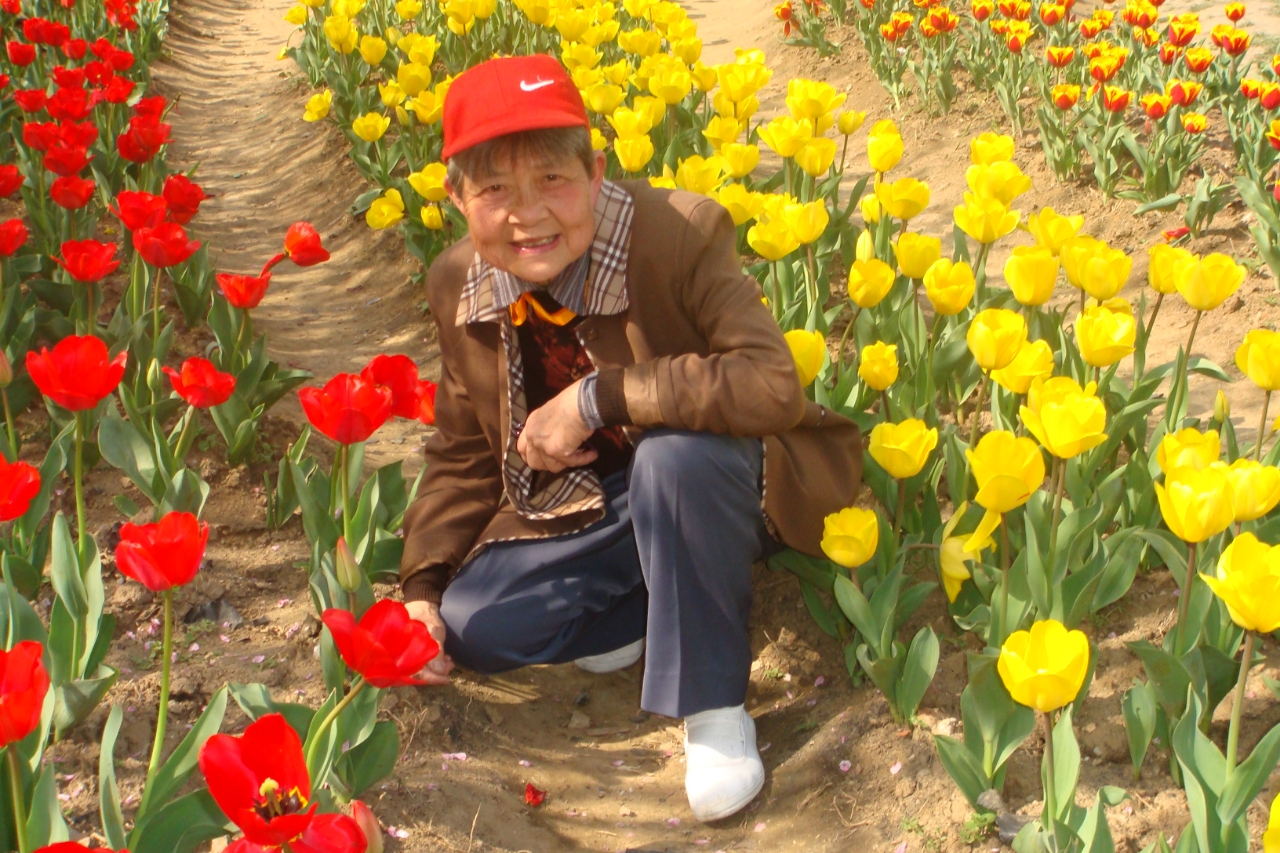 My grandmother among red and yellow flowers
